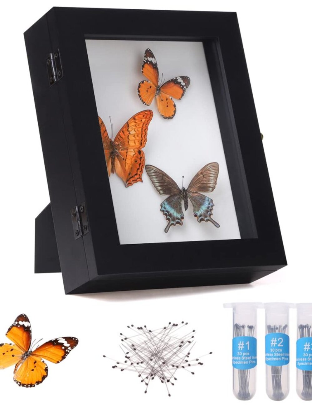 Insect Display Case Bug Display Case Shadow Box Small Black